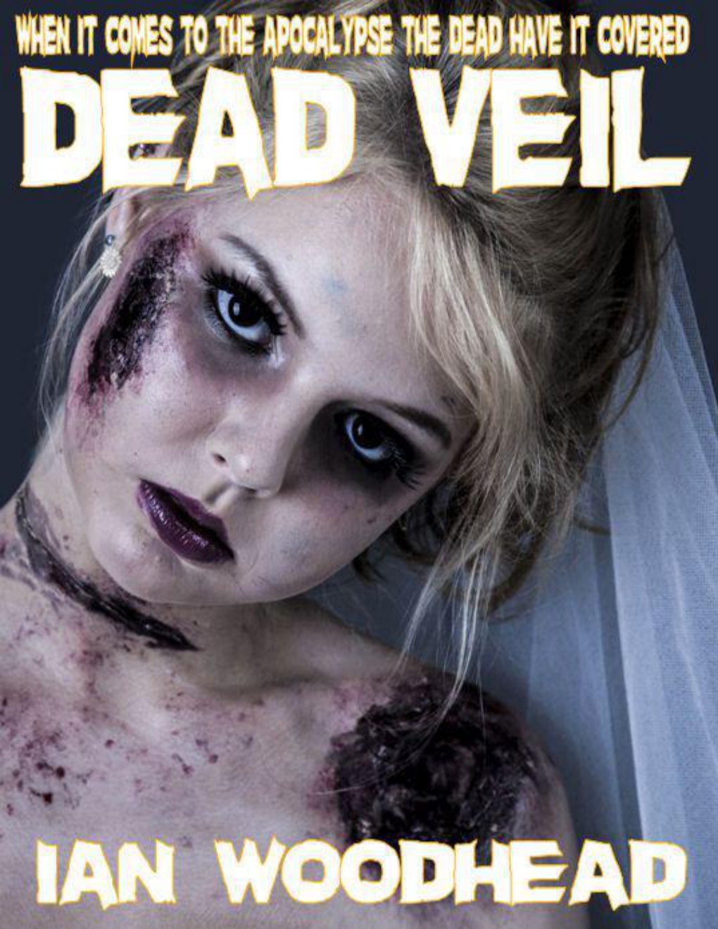 Cover of Zombie Armageddon 4: Dead Veil