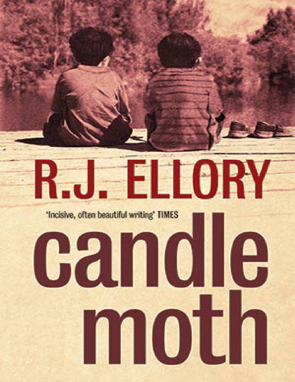 Cover of Candlemoth