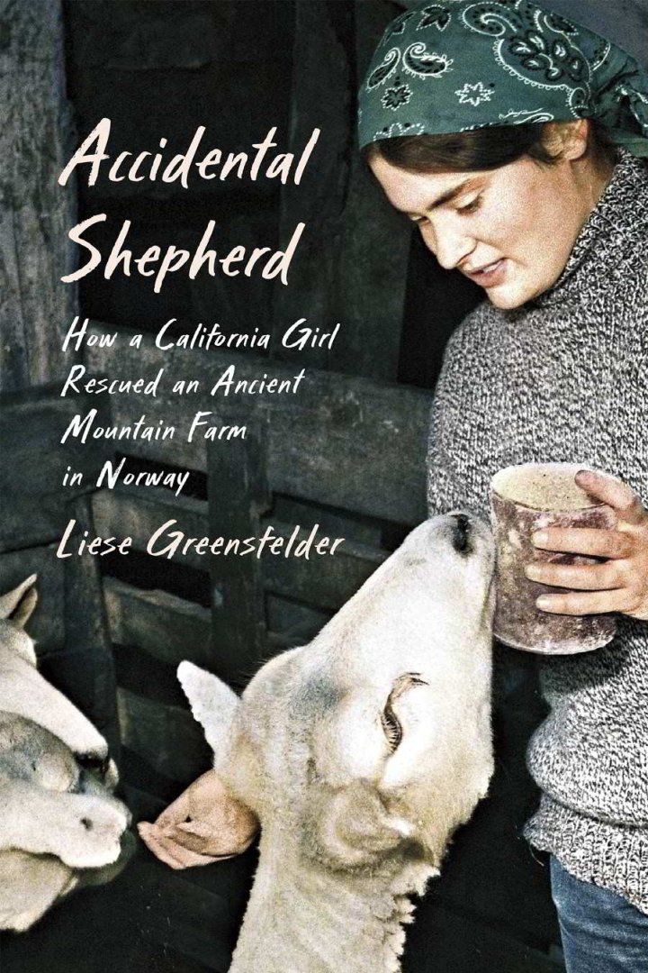 Cover of Accidental Shepherd