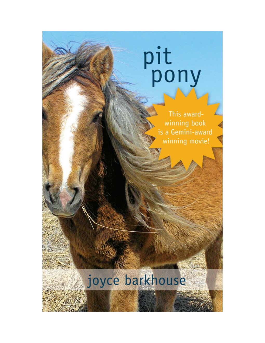 Cover of Pit Pony