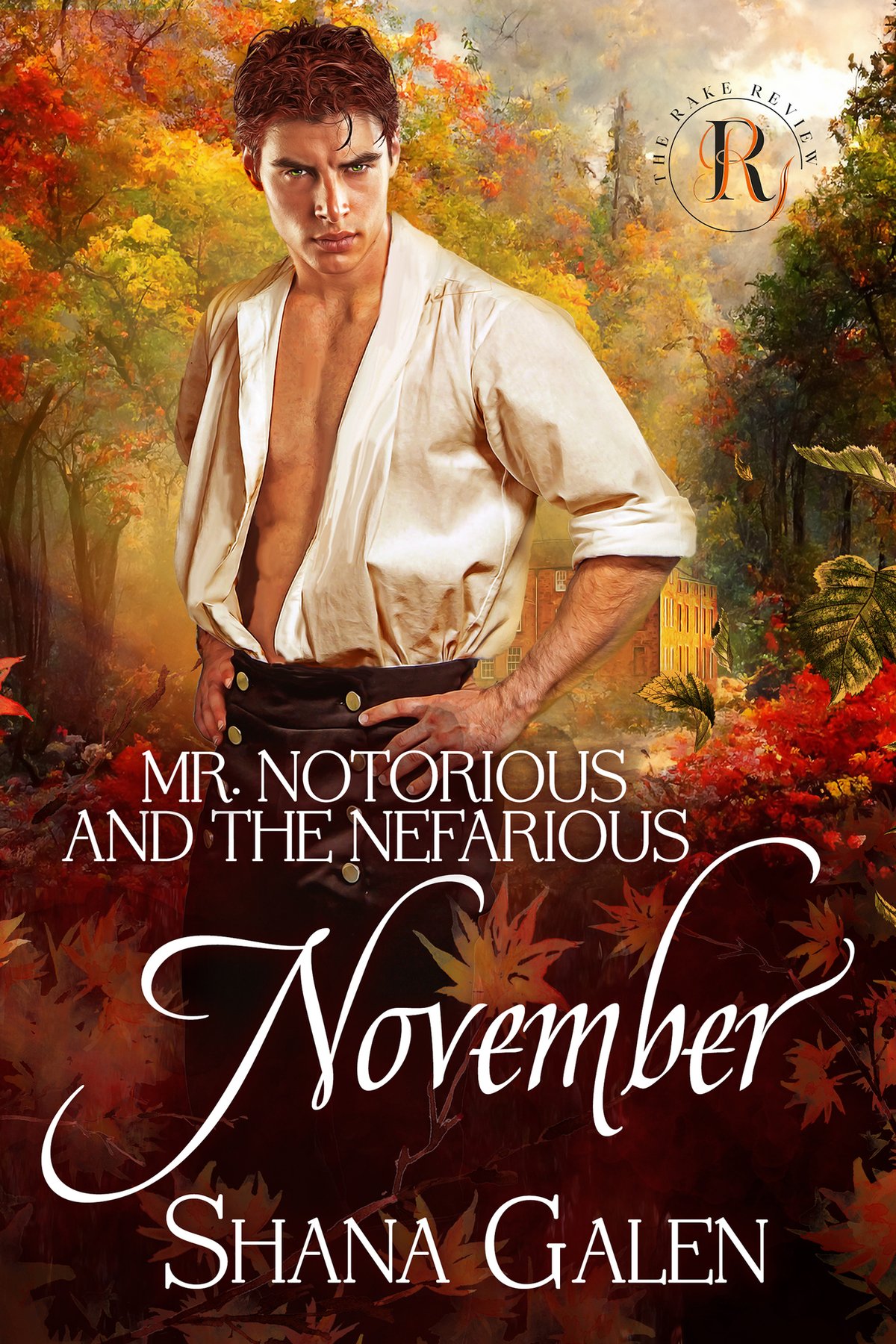 Cover of Mr. Notorious and the Nefarious November
