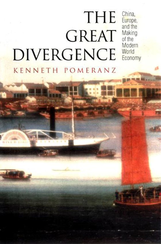 Cover of THE GREAT DIVERGENCE