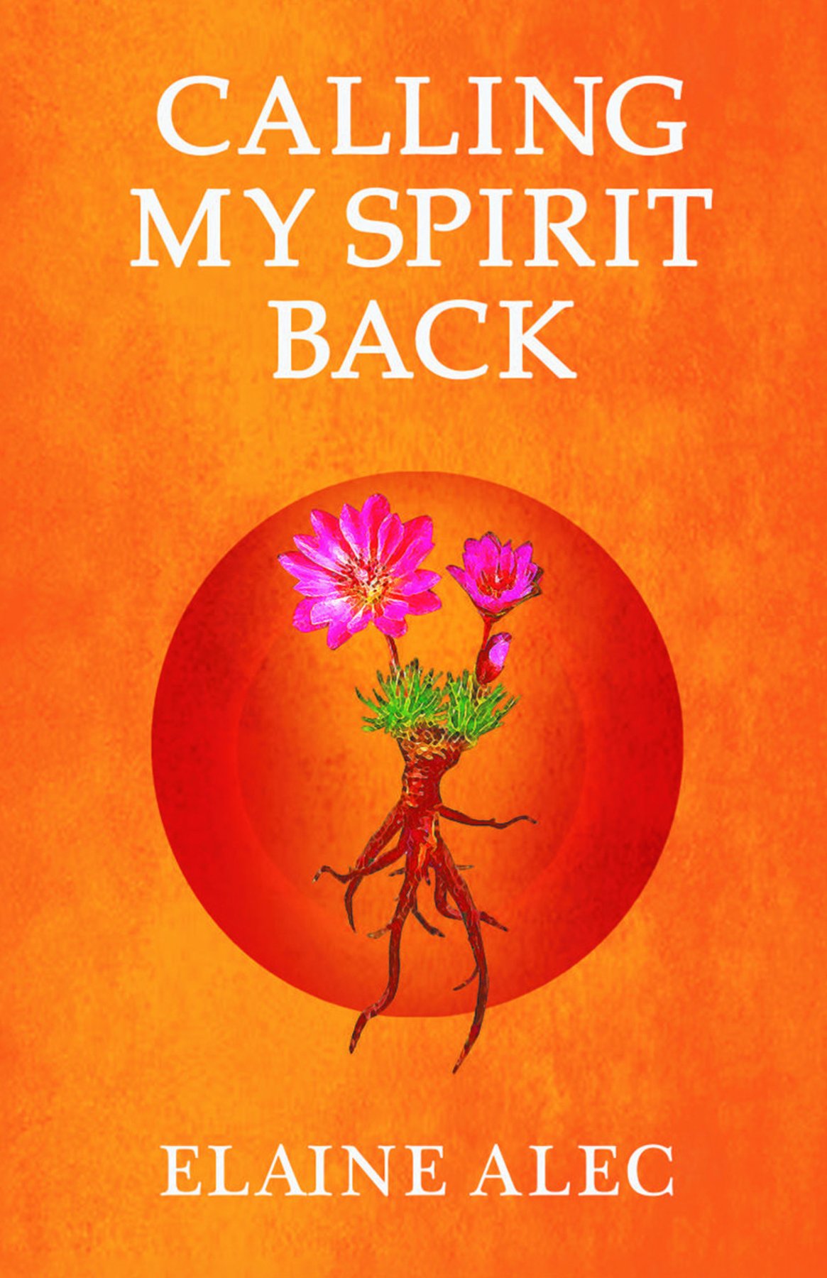 Cover of Calling My Spirit Back (1990)