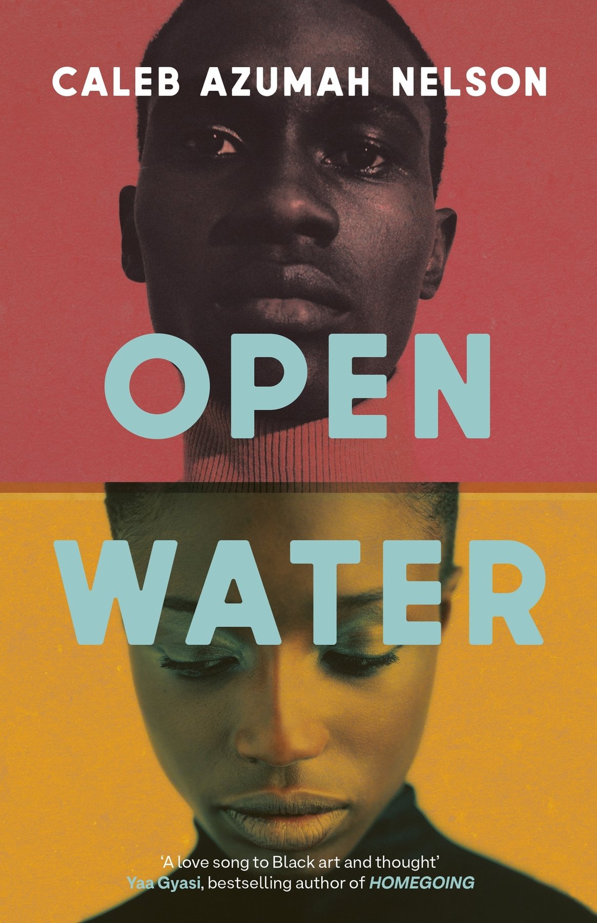 Cover of Open Water
