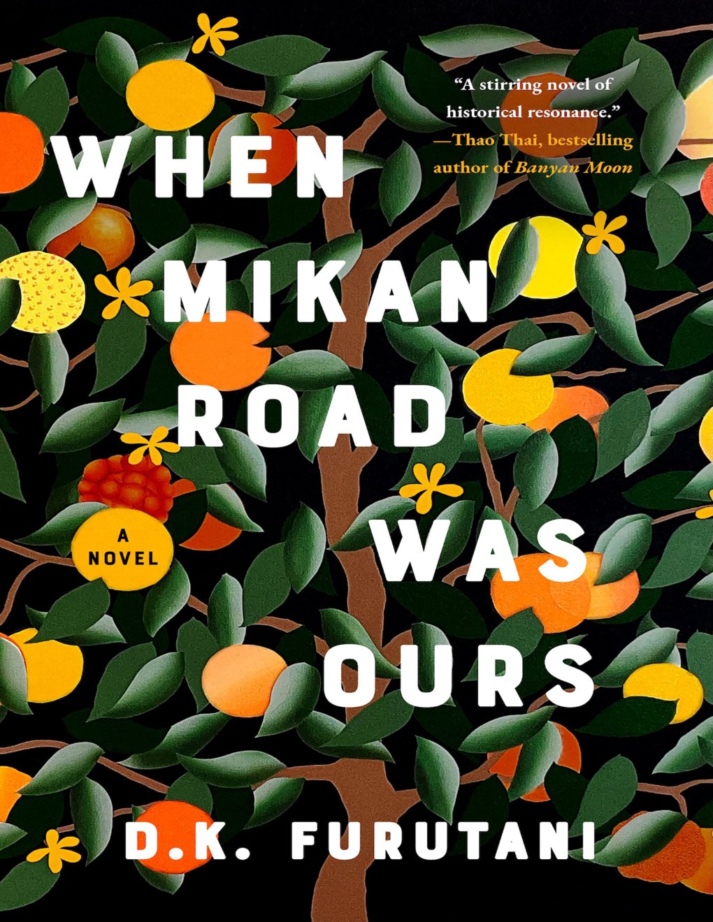 Cover of When Mikan Road Was Ours: A Novel