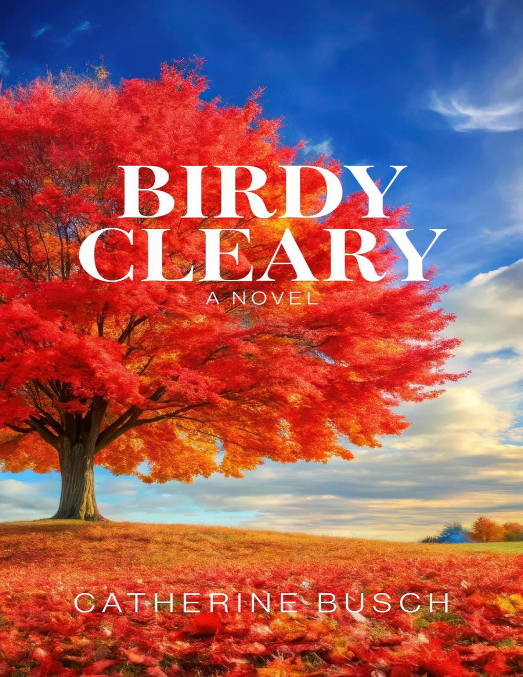 Cover of Birdy Cleary