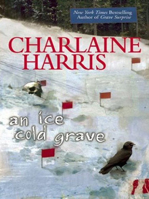 Cover of An Ice Cold Grave (2007)