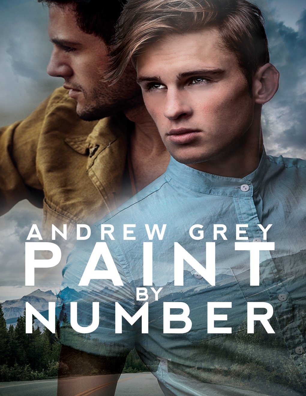 Cover of Paint by Number