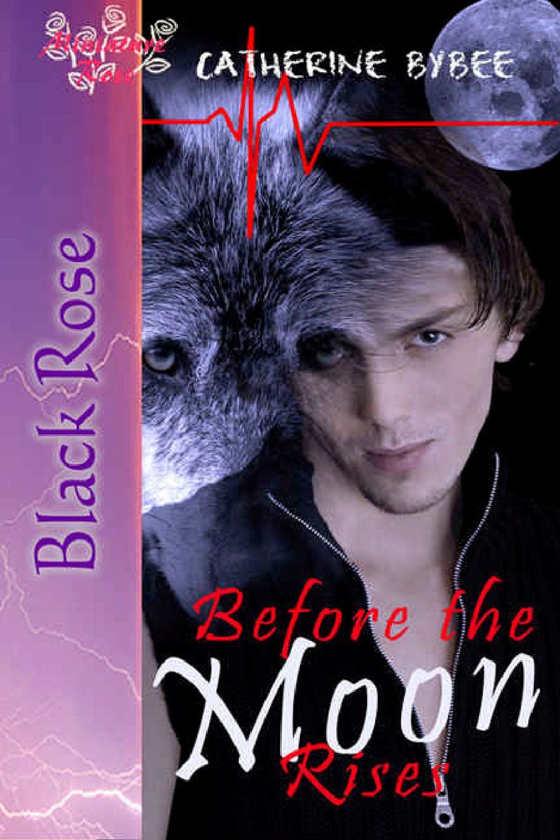 Cover of Before the Moon Rises