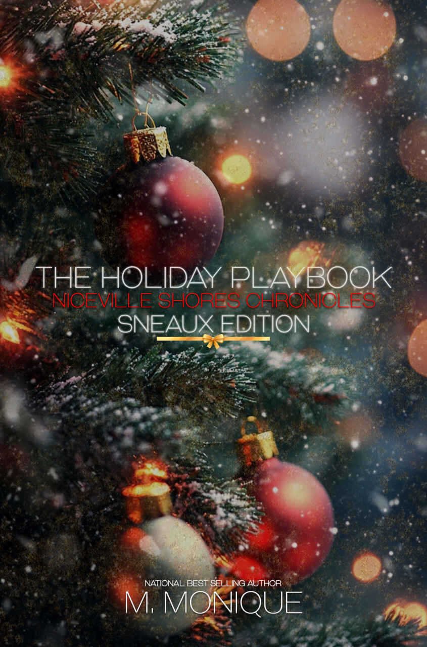 Cover of THE HOLIDAY PLAYBOOK: SNEAUX EDITION