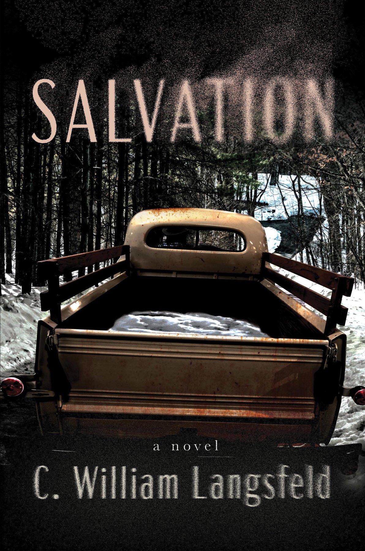 Cover of Salvation