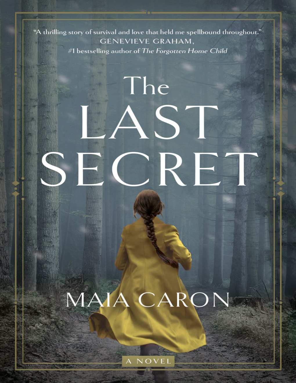 Cover of The Last Secret: A Novel