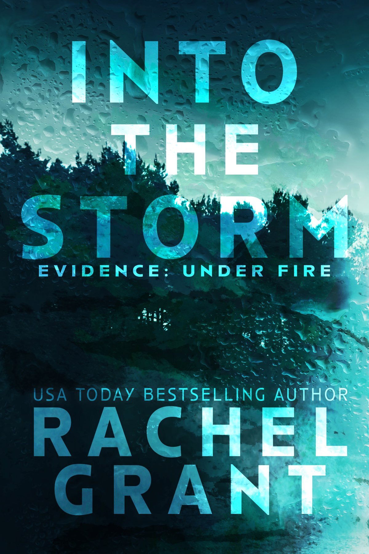 Cover of Into the Storm: Evidence: Under Fire