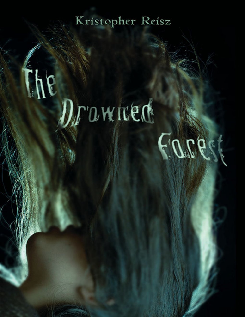Cover of The Drowned Forest