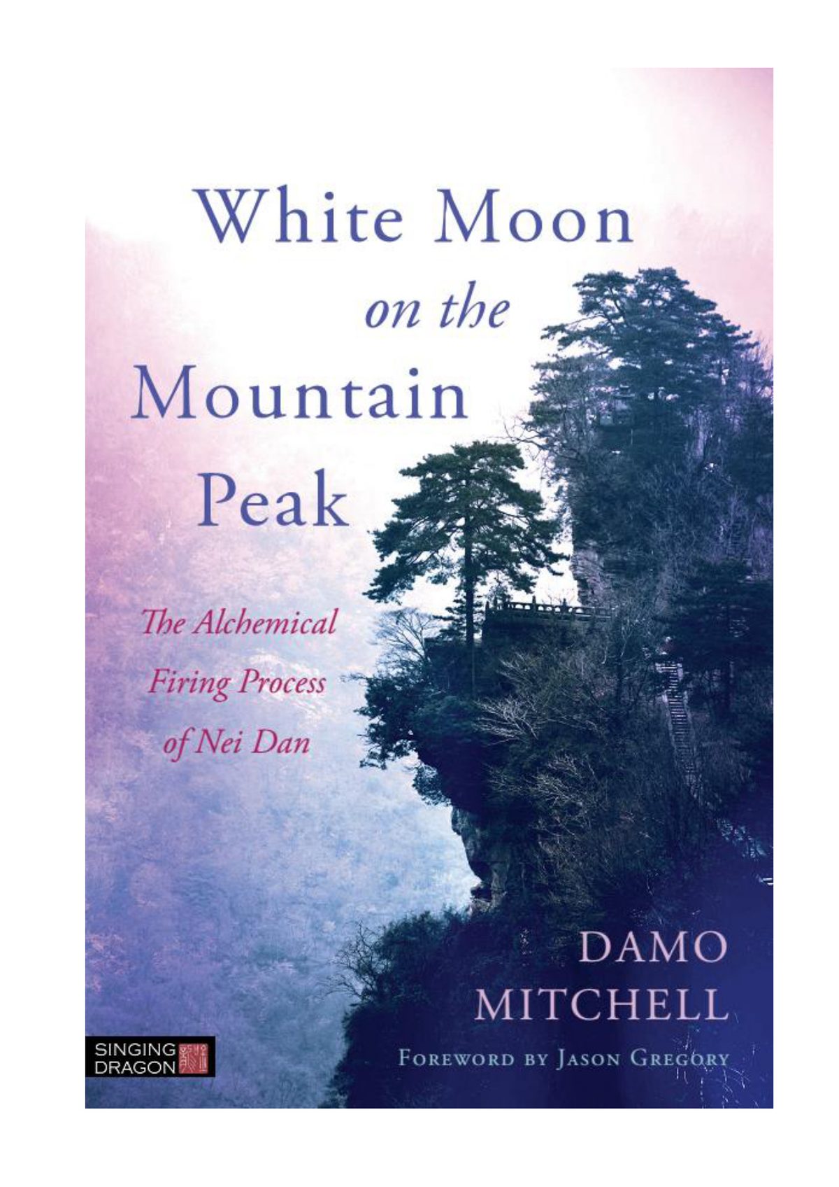 Cover of Chapter 9