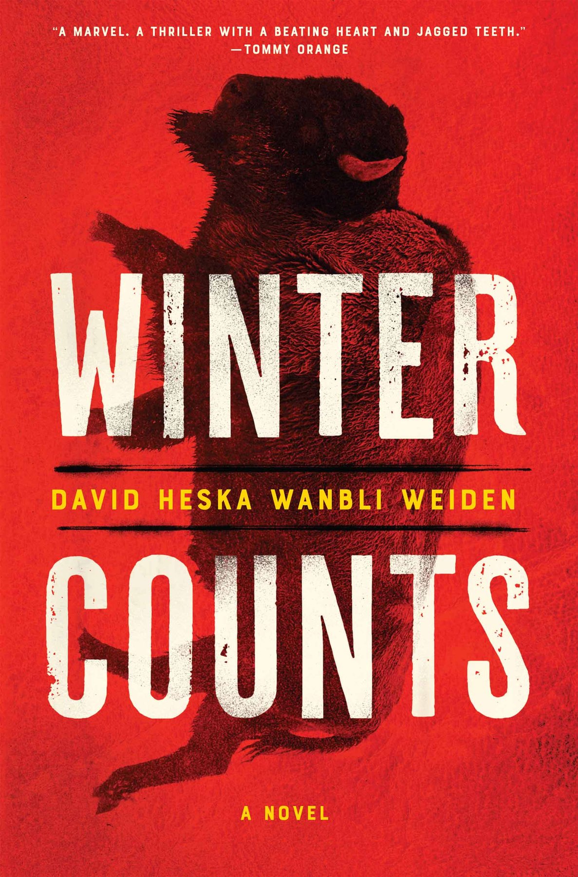 Cover of Winter Counts