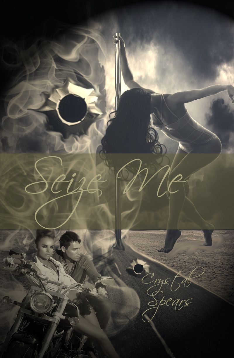 Cover of Seize Me (2013)
