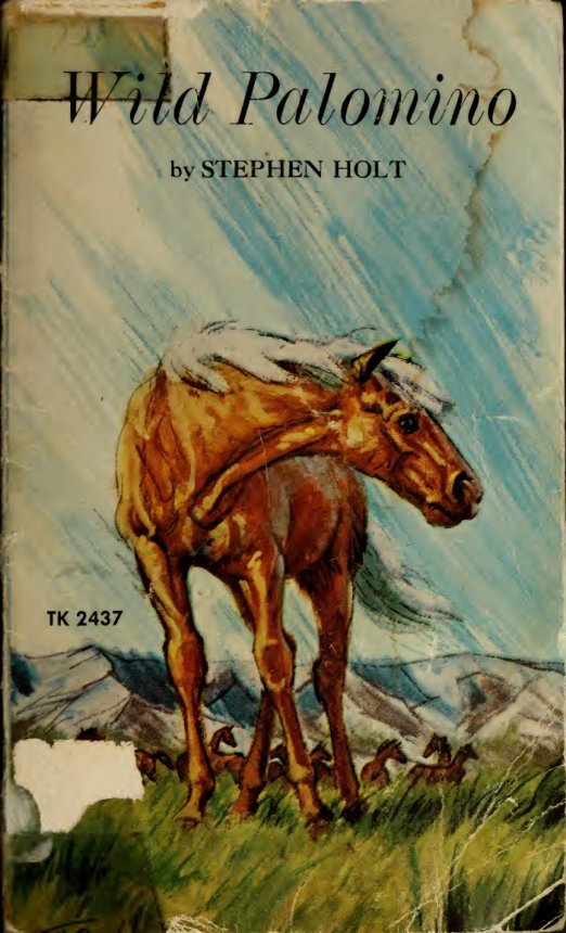 Cover of Wild palomino