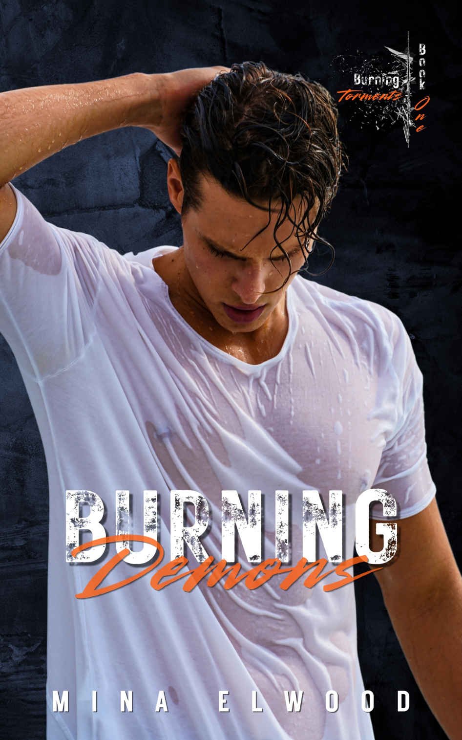 Cover of Burning Demons (2025)