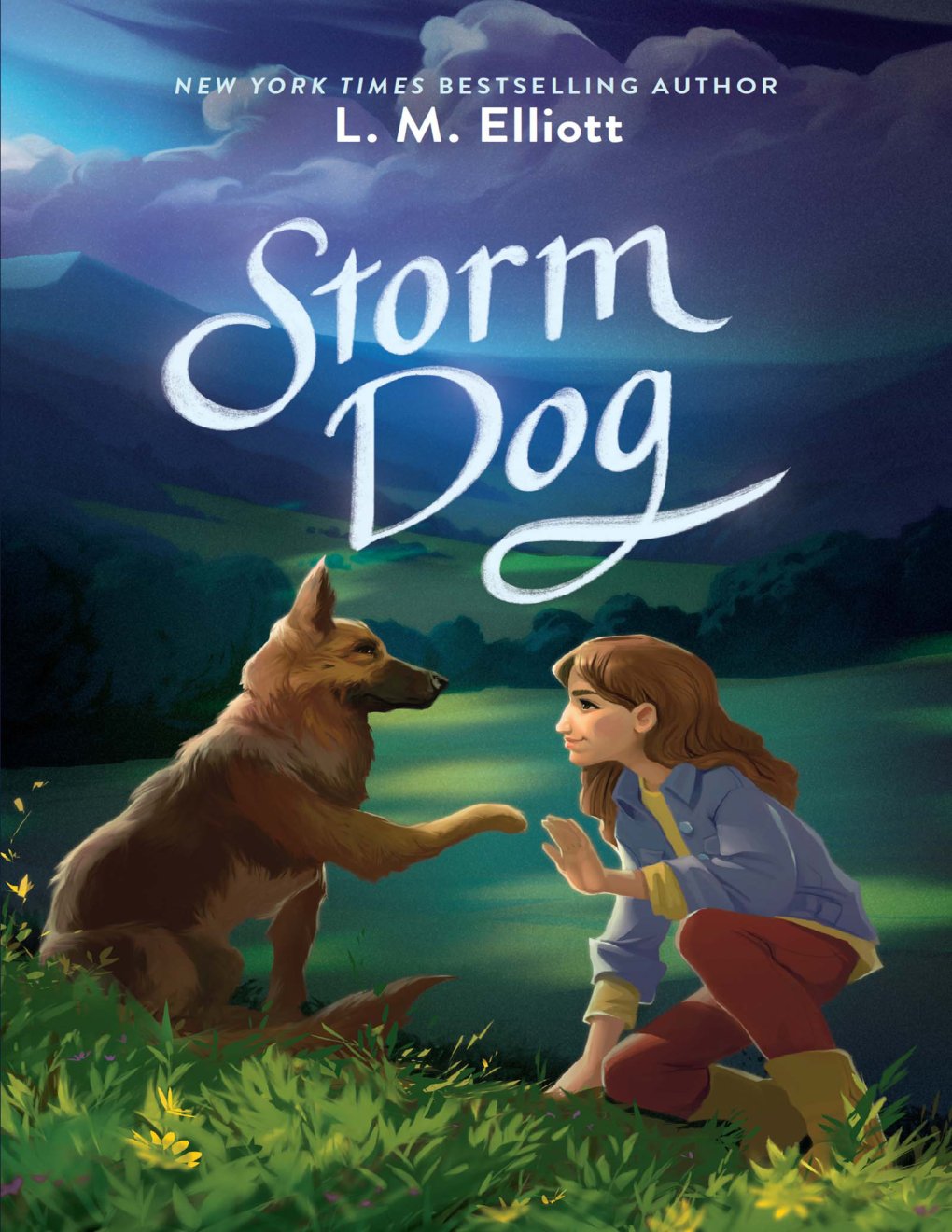 Cover of Storm Dog