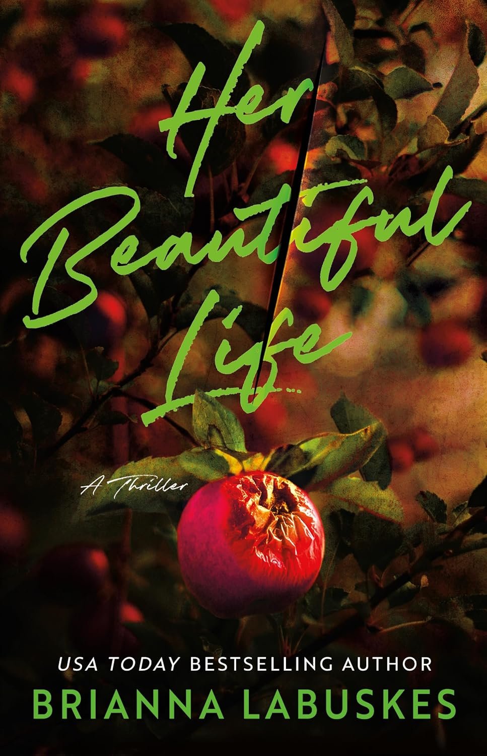 Cover of Her Beautiful Life