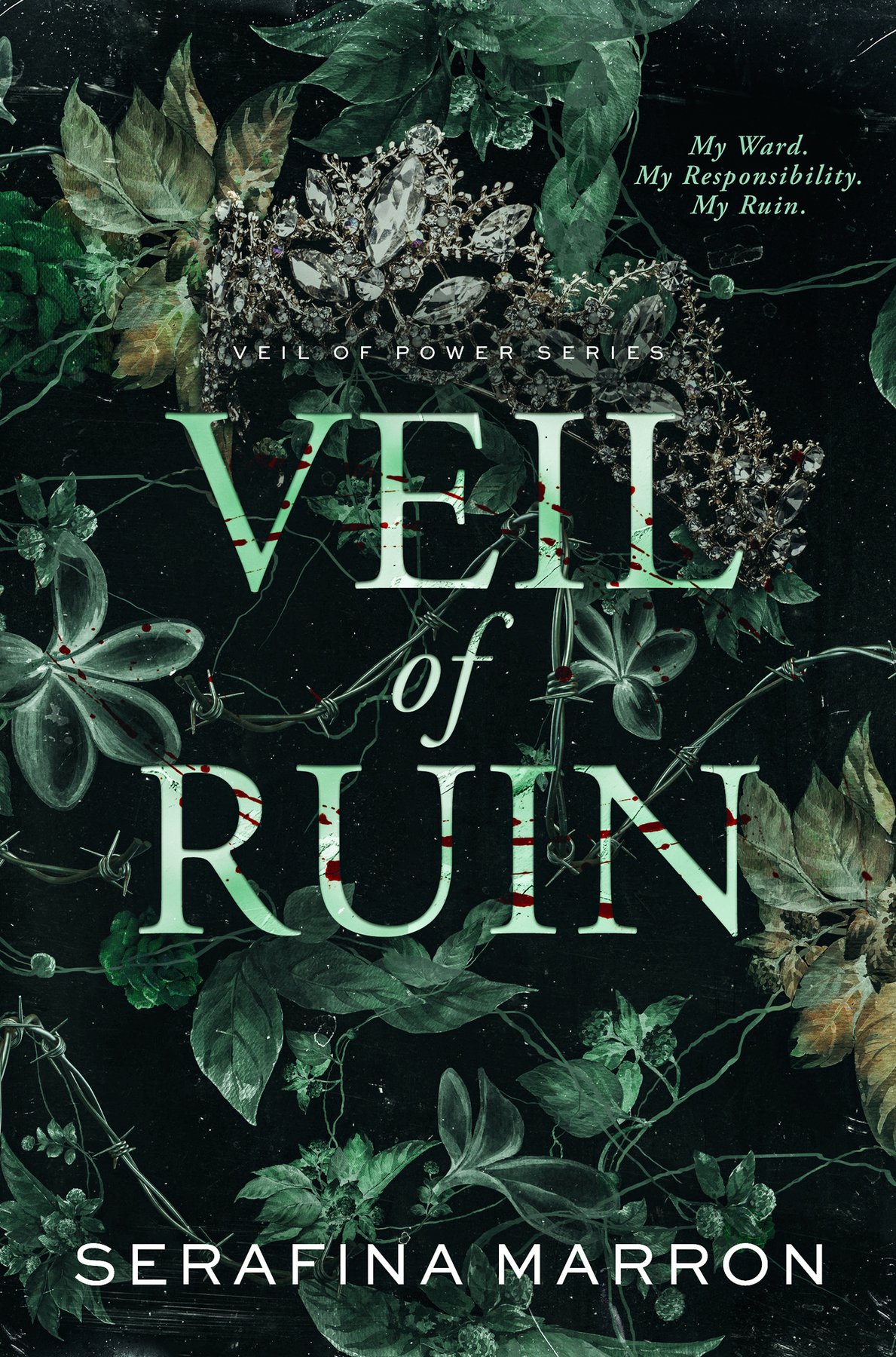Cover of Veil of Ruin