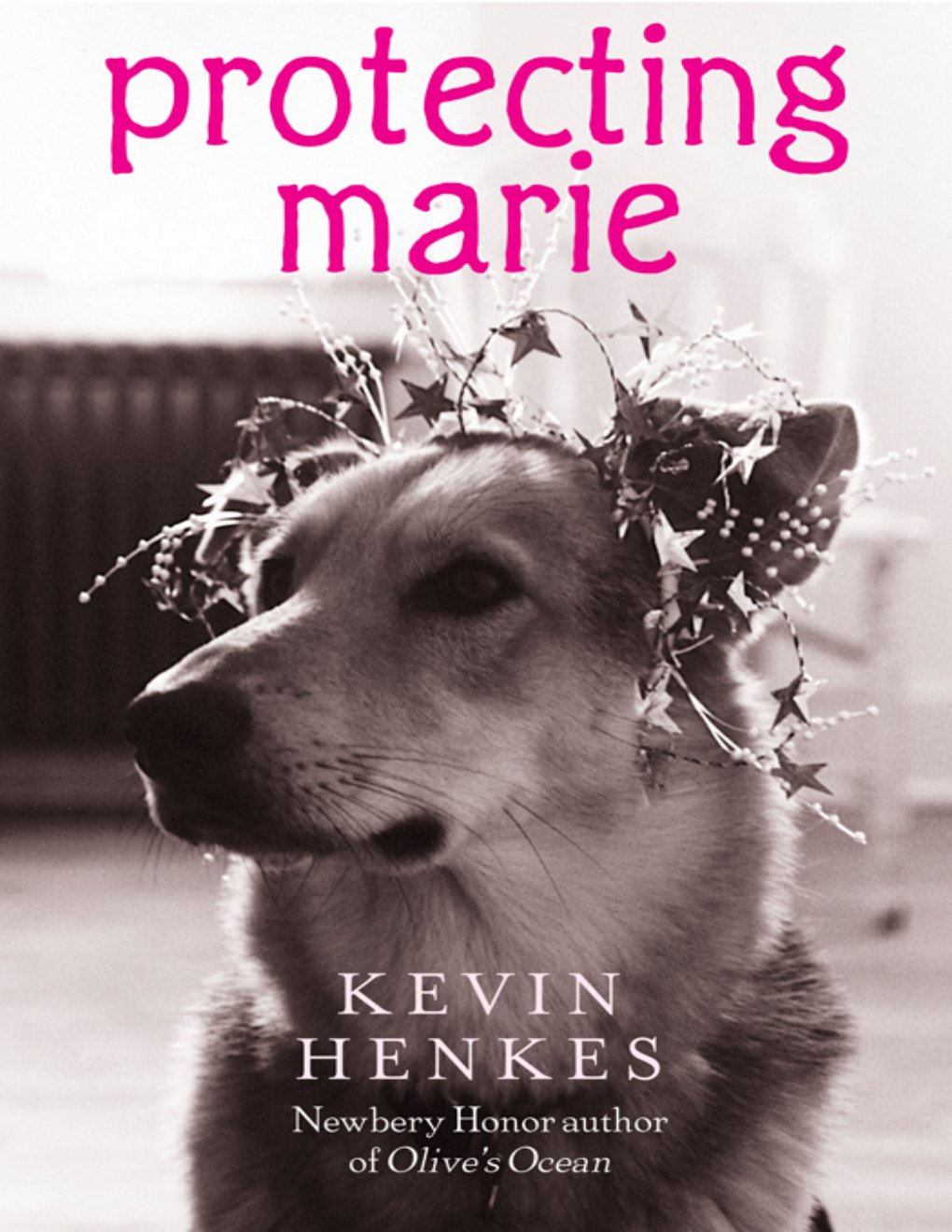 Cover of Protecting Marie