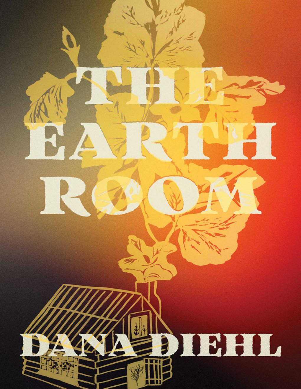Cover of The Earth Room
