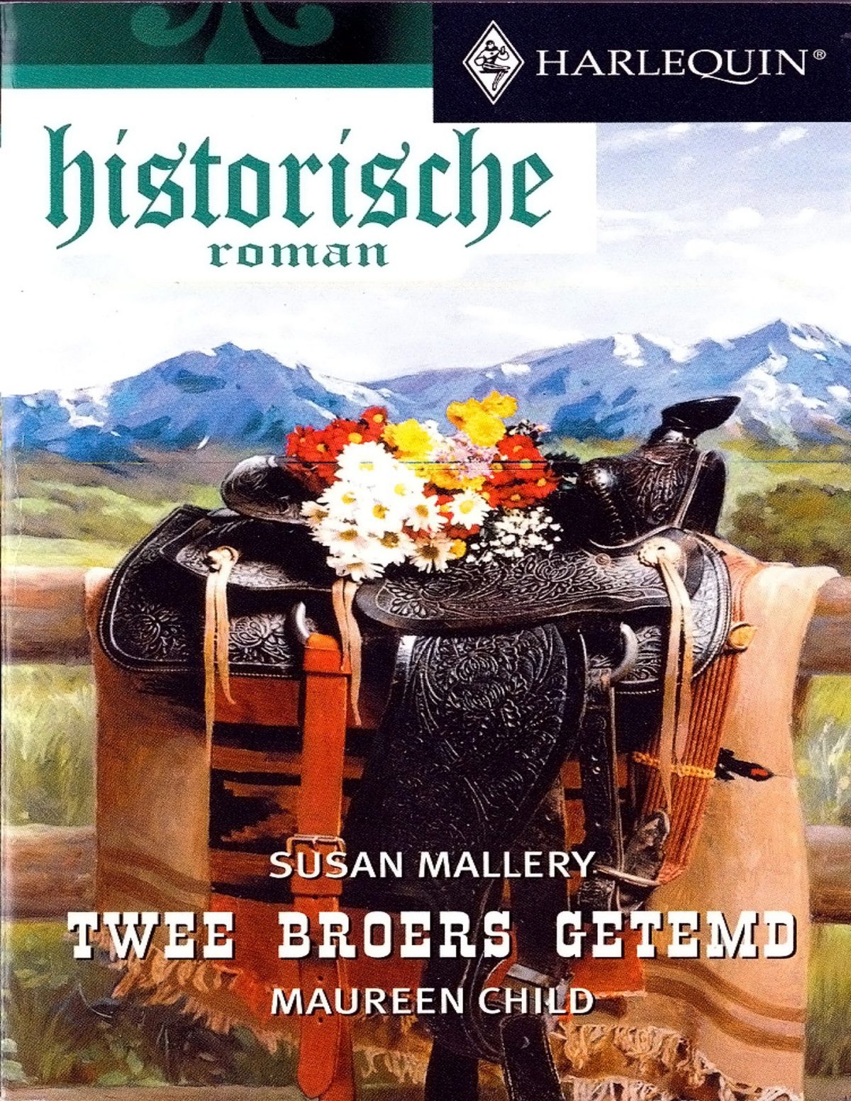 Cover of Twee broers getemd (1875)