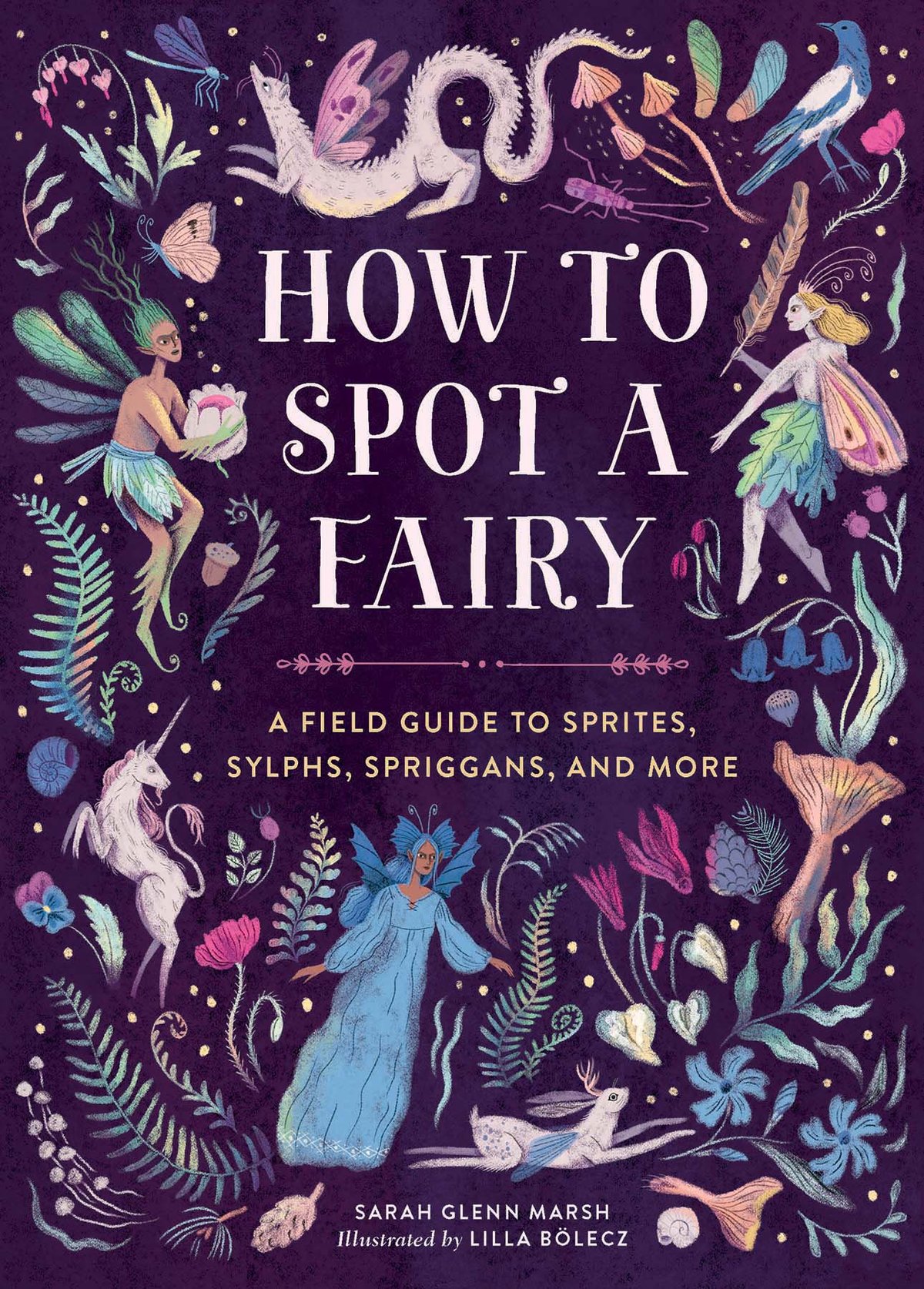Cover of How to Spot a Fairy