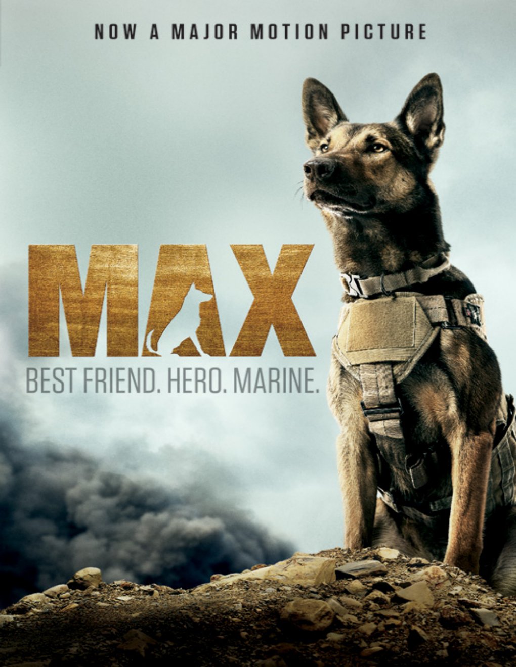 Cover of Max