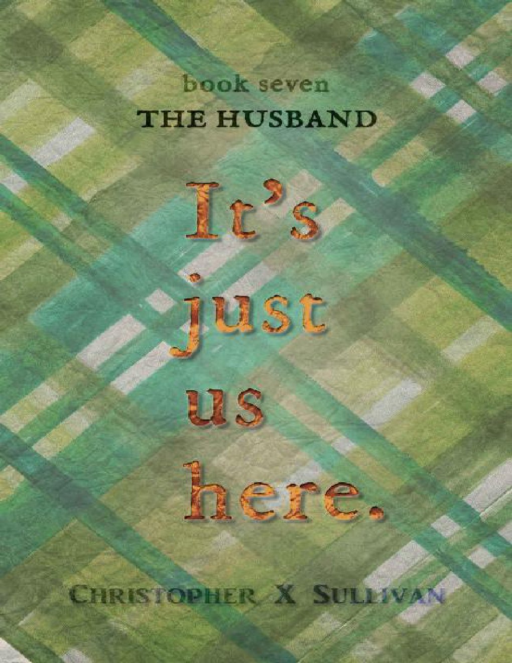 Cover of The Husband (It's Just Us Here Book 7)