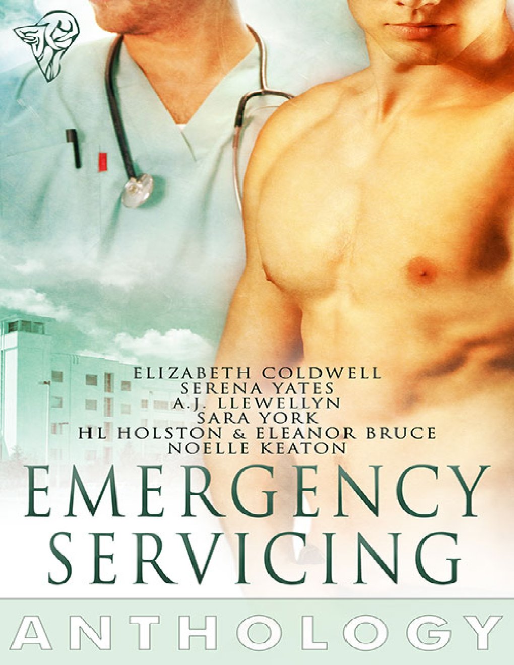 Cover of Emergency Servicing (1988)