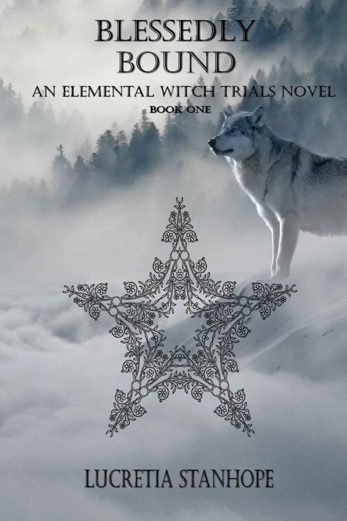 Cover of Blessedly Bound (2017)