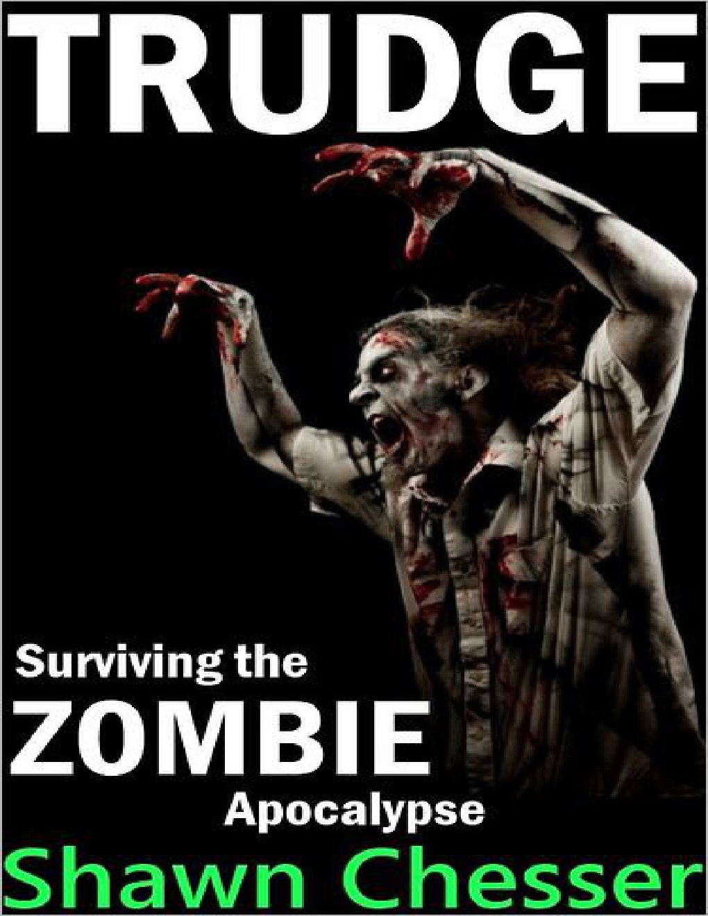 Cover of Trudge: Surviving the Zombie Apocalypse