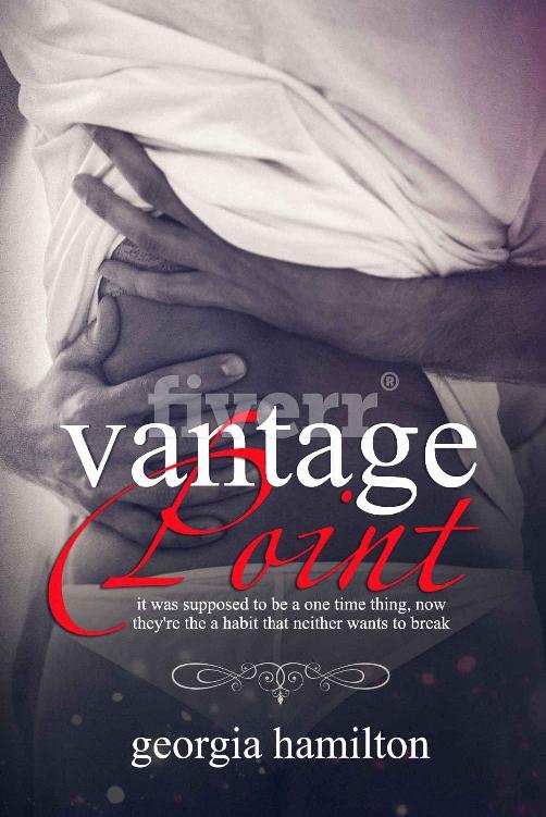 Cover of Vantage Point (The Point Series Book 2)