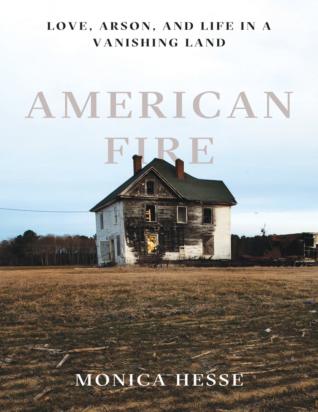 Cover of American Fire