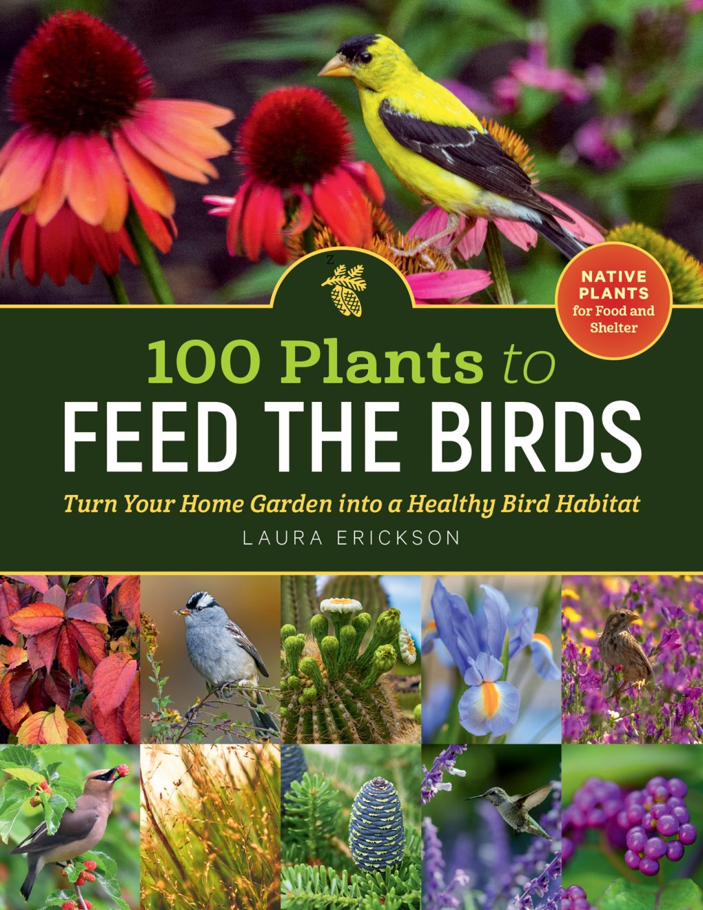 Cover of 100 Plants to Feed the Birds