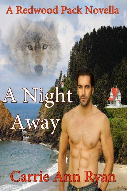 Cover of Carrie Ann Ryan