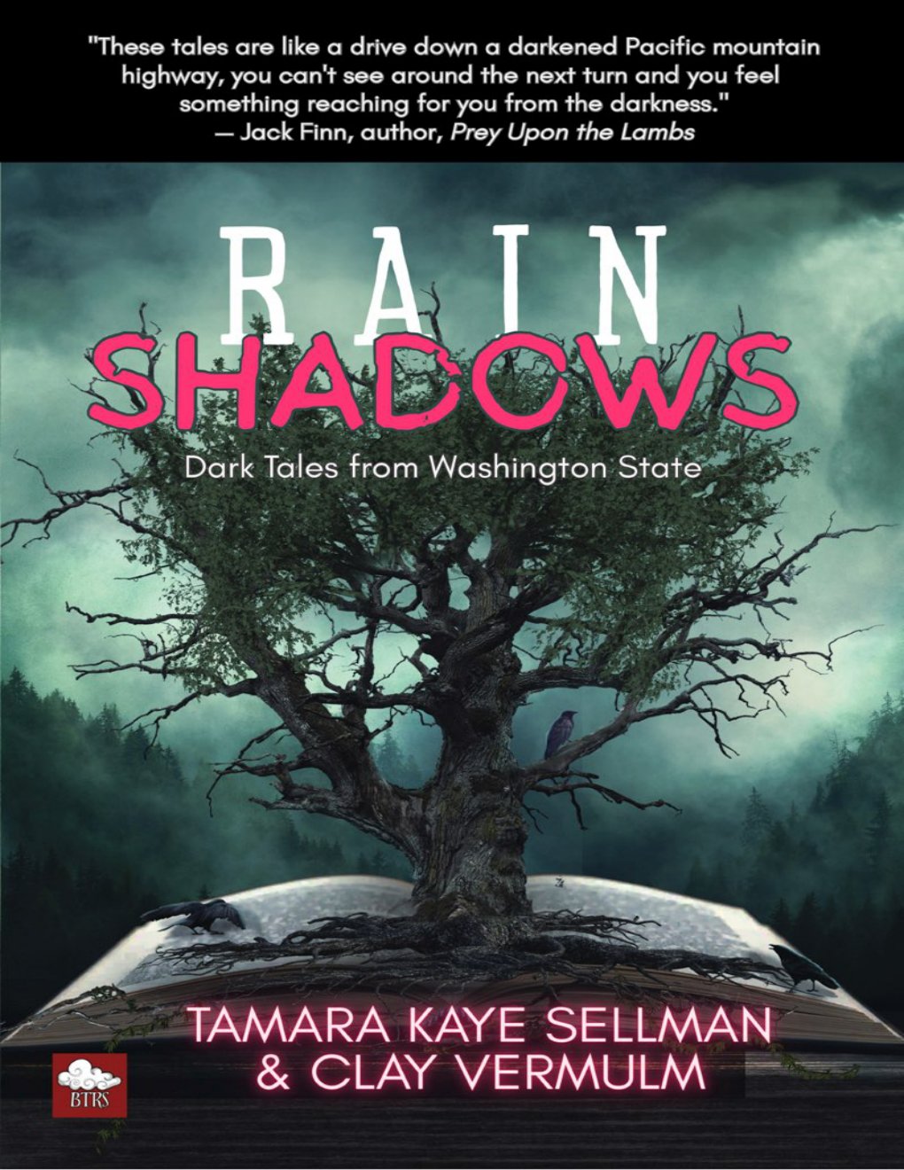 Cover of Rain Shadows (2021)