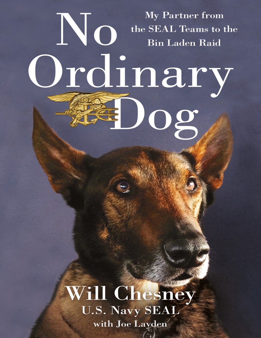 Cover of No Ordinary Dog