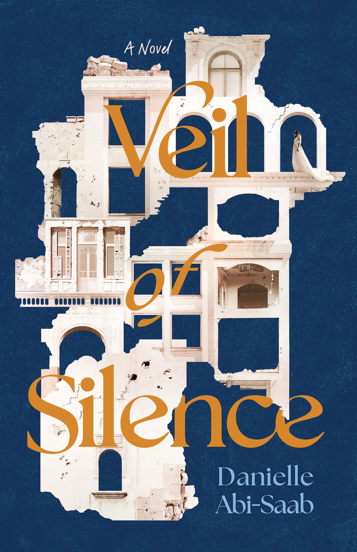 Cover of Veil of Silence