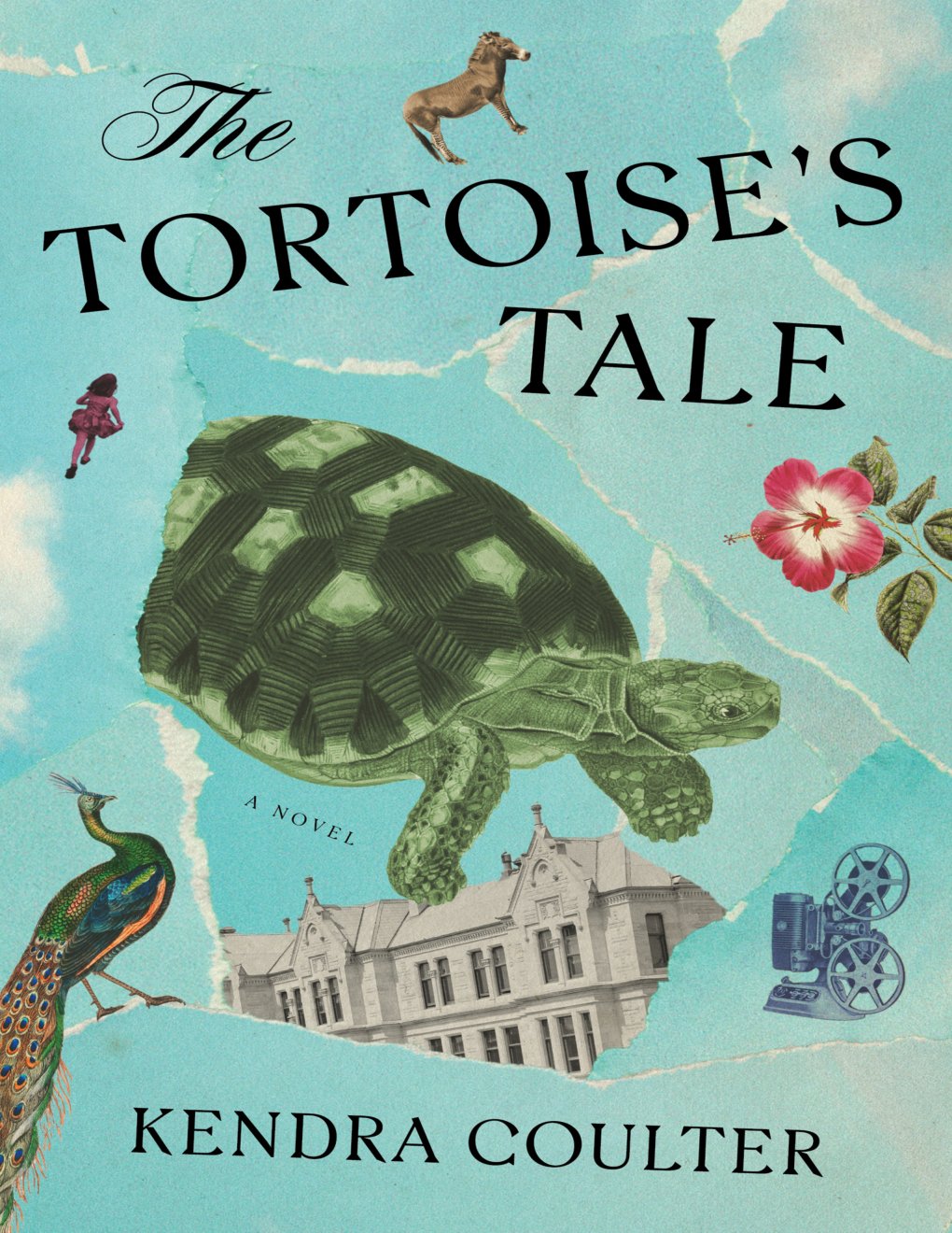 Cover of The Tortoise's Tale: A Novel