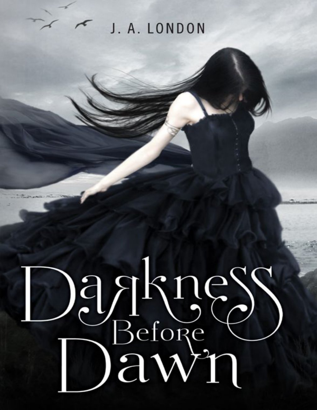 Cover of Darkness Before Dawn (Darkness Before Dawn - Trilogy)