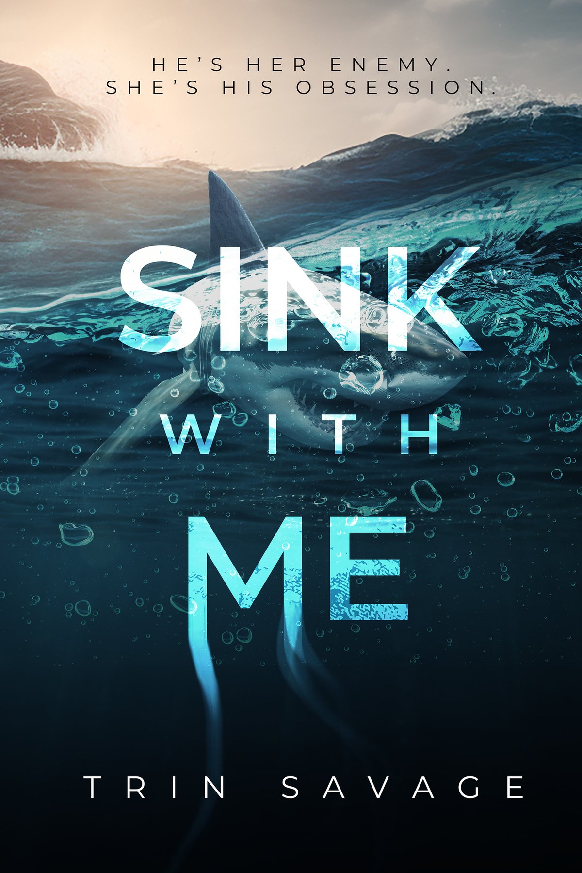 Cover of Sink With Me