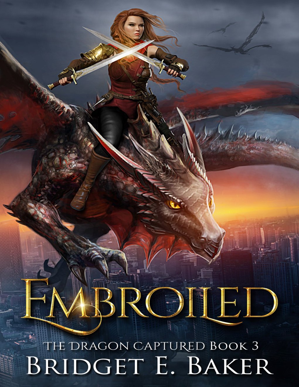 Cover of Embroiled