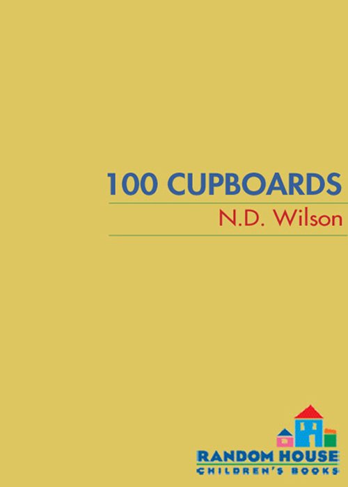 Cover of 100 Cupboards