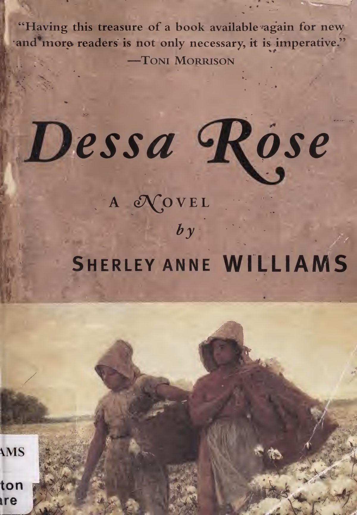 Cover of Dessa Rose