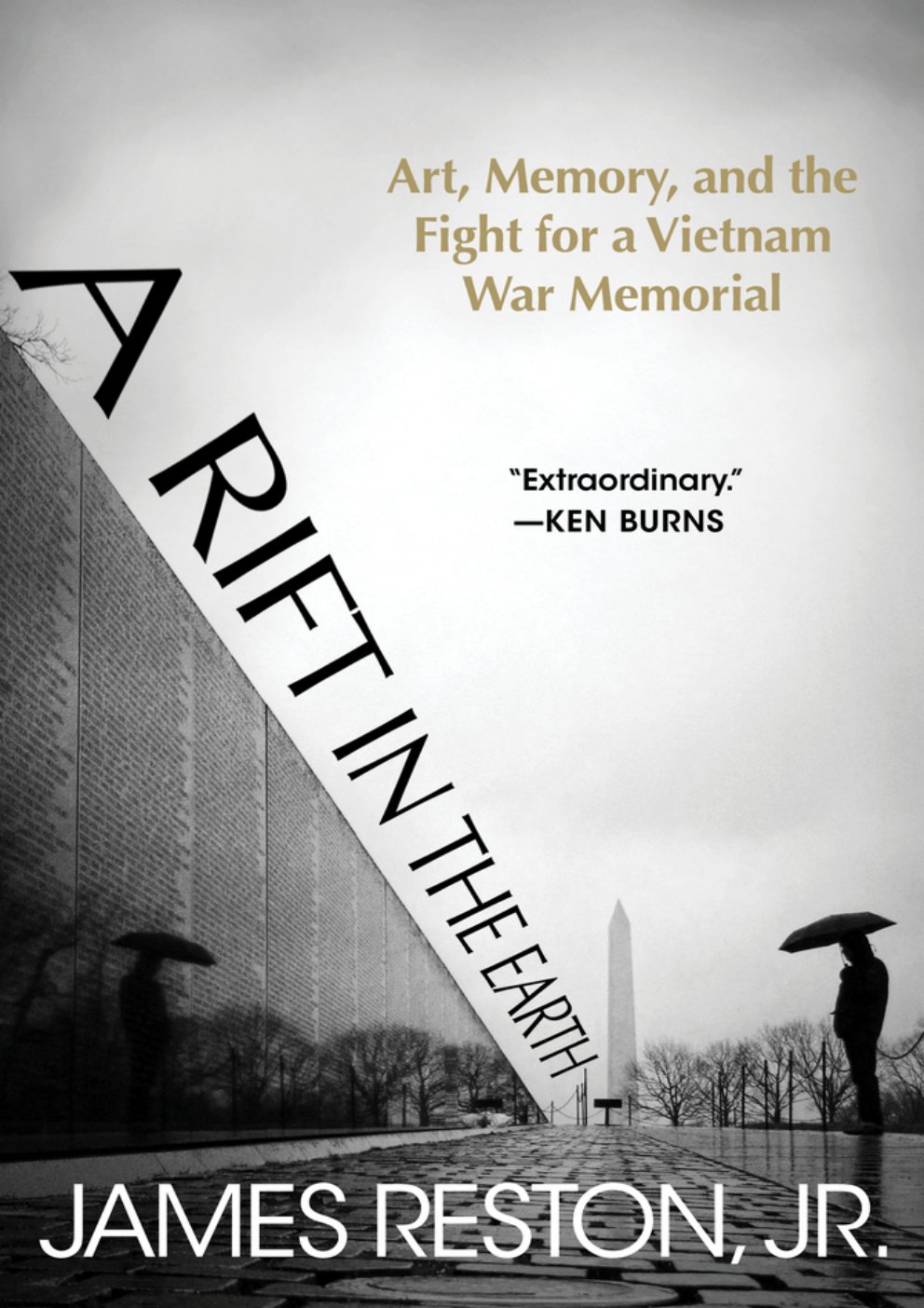Cover of A Rift in the Earth