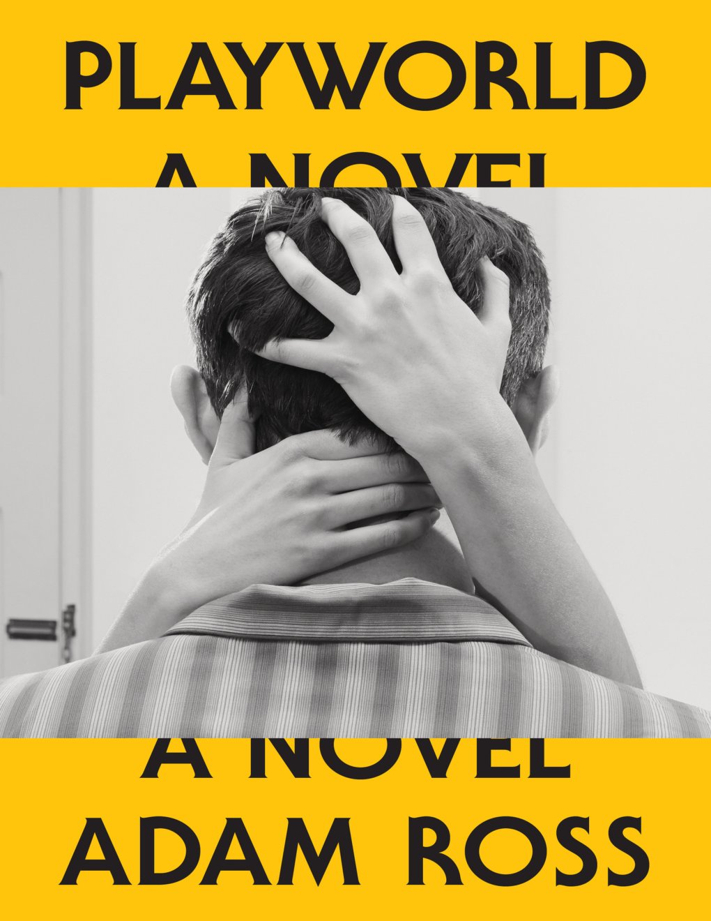 Cover of Playworld: A Novel
